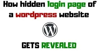 Hidden admin Login Page gets revealed | Wordpress website