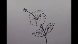 How to Draw a Hibiscus Flower Step by Step