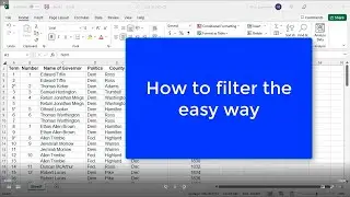 How to Filter in Excel