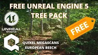 FREE Quixel Megascans European Beech Tree Pack for Unreal Engine 5