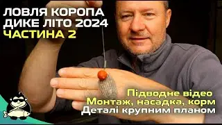 Ловля коропа на дикарі Літо 2024 частина 2