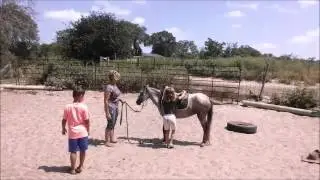 Kids Breaking a Caspian Mare to Ride