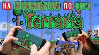 Как играть в Terraria на МОБИЛЬНОМ по сети (НА РАСТОЯНИЕ)