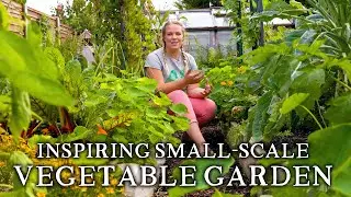 Massively Productive Small-Scale Suburban Vegetable Garden | Backyard Self-Sufficiency on a Budget