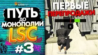 ПУТЬ ДО МОНОПОЛИИ ЛСК на GTA 5 RP GRAPESEED #3 - ПЕРВЫЕ ПЕРЕПРОДАЖИ В ГТА 5 РП