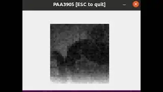 PAA3905