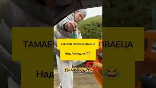 Венгалби и Тамаев СПОР ЗА  ПОКУПКУ  LIT ENERGY 😂 |