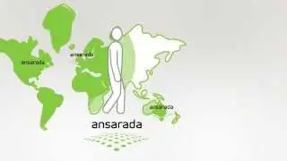 Why use an ansarada data room designed exclusively for M&A?