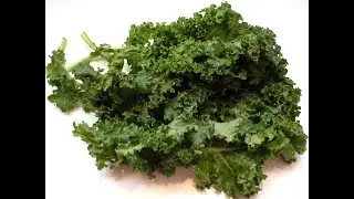 Kale 101 - Nutrition & Health Benefits