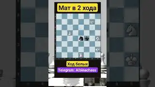 Telegram: Albinachess 