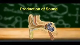 Production of Sound