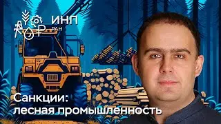 Как санкции повлияли на лесную промышленность России?