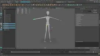 Quick Start to Character Creation in Maya or Blender