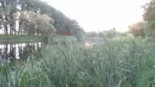 В поисках уток крякаем в манки