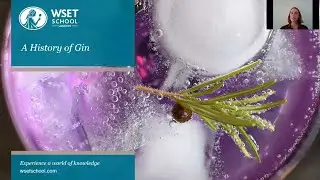 A History of Gin with Julia Lambeth DipWSET