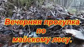 Вечерняя прогулка по речке Малошуйка.