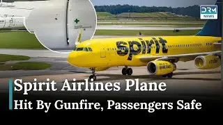 Spirit Airlines Flight Hit by Gunfire, Diverts to Dominican Republic |News Today |AP1E