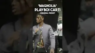 Playboi Carti - Magnolia Presets | Preset Finds