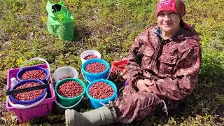 Сегодня Рекорд //видео для настроения 😄//зарядка на горе //С днëм рождения//ставьте нам лайки 👍//