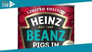 Heinz unveil new baked beans flavour with festive twist – not everyone is happy