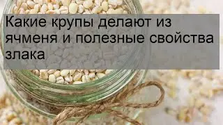 Какие крупы делают из ячменя и полезные свойства злака