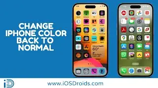 How to Change iPhone Screen Color Back to Normal?