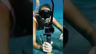 Diver picks up trash and finds cool fish 