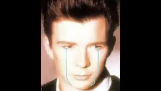 Never Gonna Give You Up But It’s Sad  :(