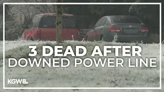 3 killed after live power line comes onto SUV