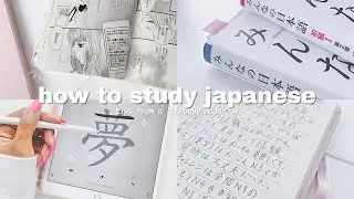 how i study japanese- tips from an actual language major | THE ULTIMATE GUIDE