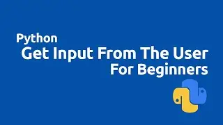 Python Tutorial for Beginners Taking User  Input In Python Command Line Input