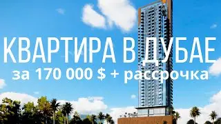 Недвижимость в Дубае. Квартира за 171 581 $ в рассрочку на 5 лет.  Tiger Seslia Tower