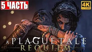 A PLAGUE TALE: REQUIEM ПРОХОЖДЕНИЕ [4K] ➤ Часть 5 ➤ На Русском ➤ Геймплей и Обзор на ПК