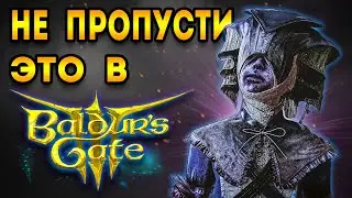 baldurs gate 3 гайд | ты мог это пропустить - балдурс гейт 3