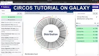 Snp distribution Visualization on Galaxy for Bioinformatics using Circos