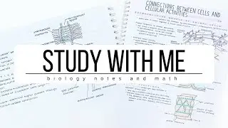 Study With Me ☀️Biology notes and Math | studytee