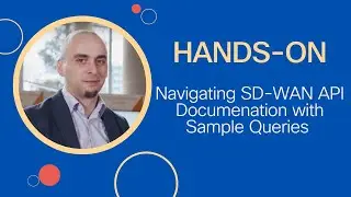 Hands on navigating SD WAN API documentation with sample queries