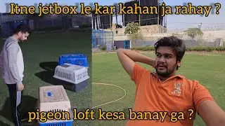 Itne saray jetbox ? | Kya hone lga hai ? | pigeon loft | daily vlog 219