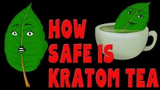 KRATOM TEA could change your life - Dangers, Benefits & Side effects