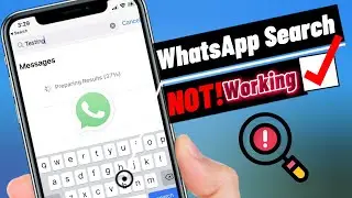 Fix WhatsApp Messages search Not Working on iPhone [iOS 16]