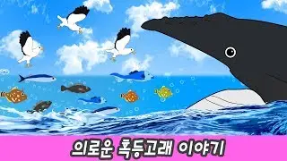 한국어ㅣ의로운 혹등고래 이야기, 어린이 동물 만화, 신생대 동물 이름ㅣ꼬꼬스토이