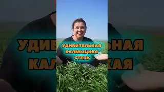 Удивительная калмыцкая степь