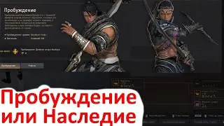 Black Desert 2020 Хассашин Навыки Пробуждения/ Наследия