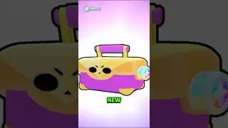New Update Confirmed Features 