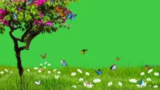 Green screen flower video effects | tree green screen | green screen butterfly effect