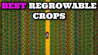 I Tested Every Regrowing Crop In Stardew Valley And Determined The Best Crop In Stardew Valley