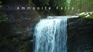 A Great walk near Nanaimo | Ammonite Falls