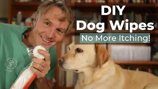 DIY Dog Wipes