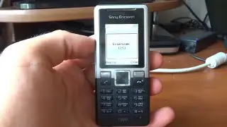 Sony Ericsson T280i ringing alarm