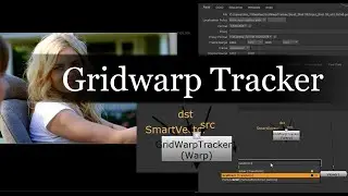 gridwarp tracker node